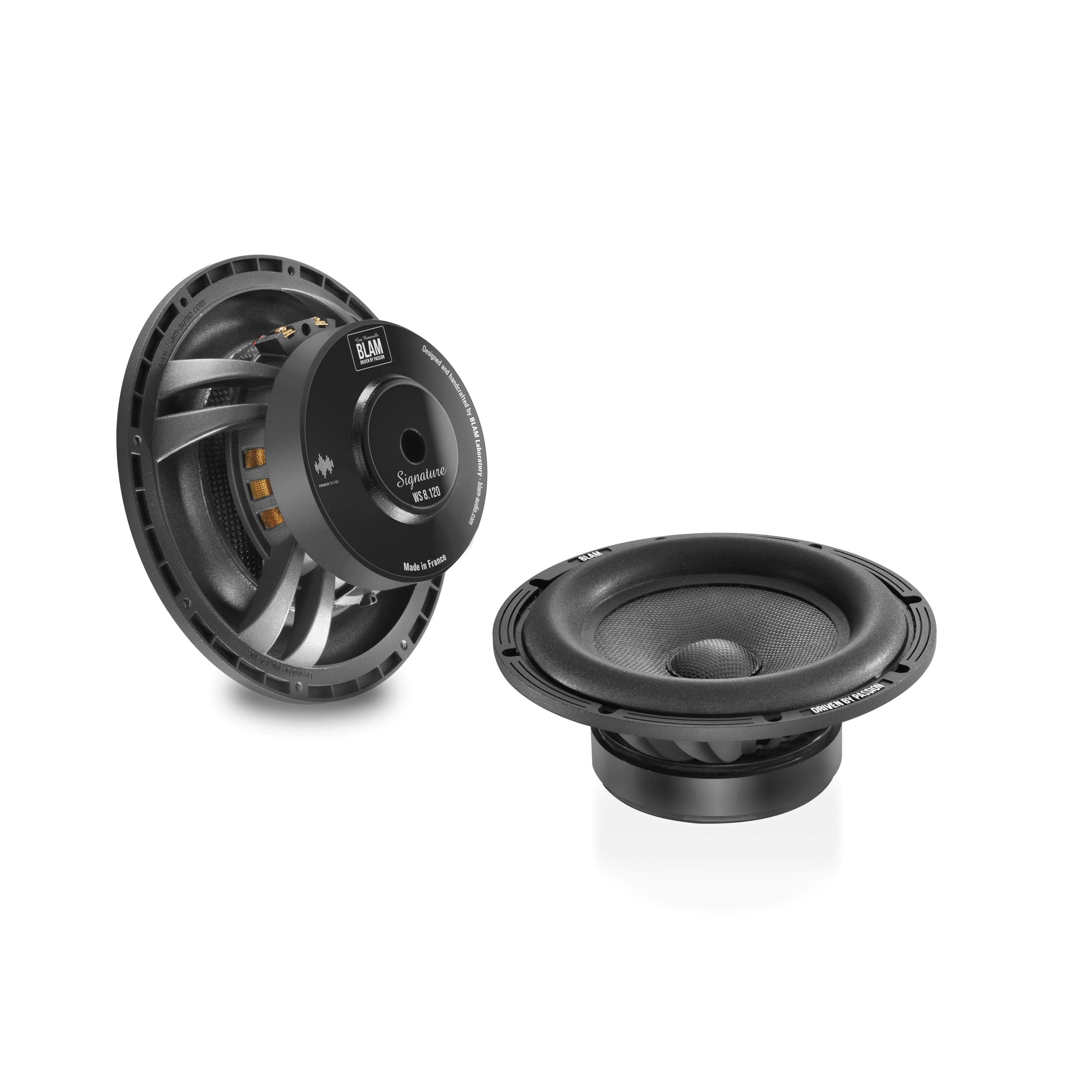 BLAM WS8120