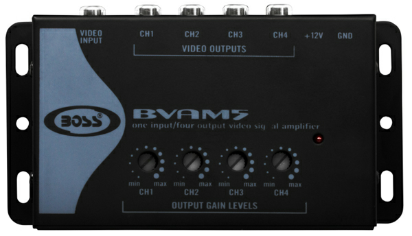 BVAM5_FACE