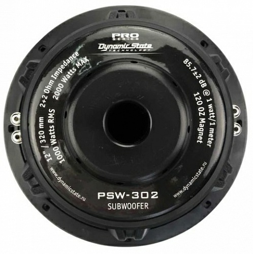 Dynamic State PSW-302_03