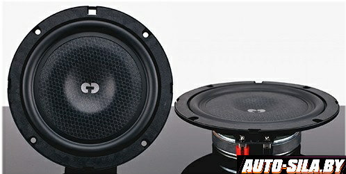 Фото Мидбас акустики CDT Audio ES-6iS.