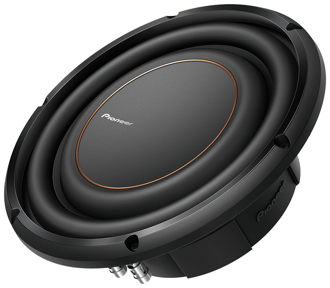 Pioneer TS-D10LS4